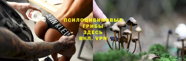 ешки Абаза