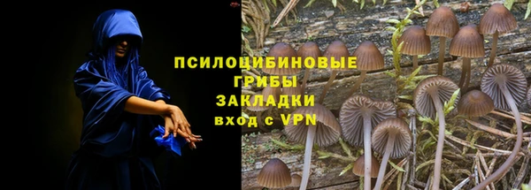 ешки Абаза
